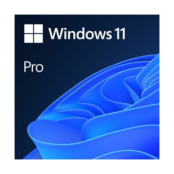 Microsoft Windows 11 Pro - License - 1 License