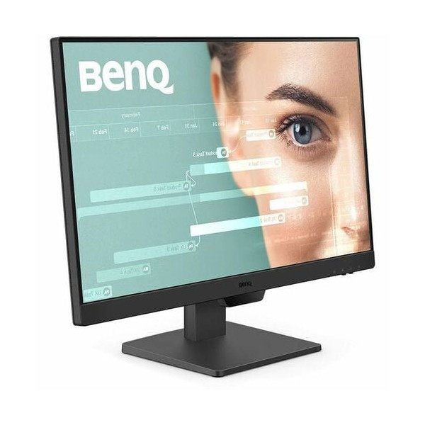 BenQ GW2490 24" Class Full HD LED Monitor