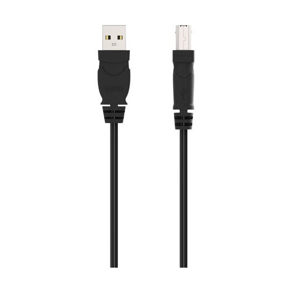 Belkin Hi-Speed USB 2.0 Cable