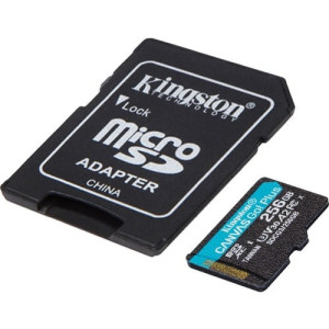 Kingston Canvas Go! Plus 256 GB Class -SDCG3/256GBCR