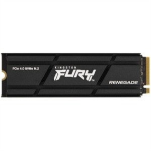 Fury Renegade 1TB NVMe w-HS