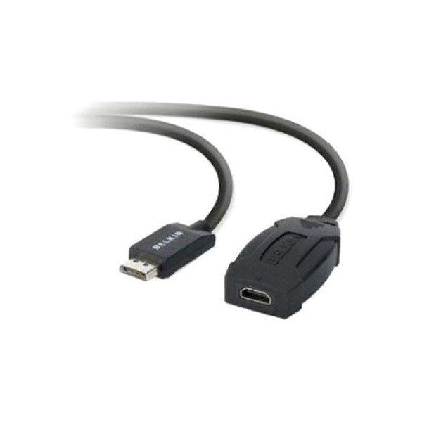 DisplayPort to HDMI