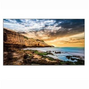 50" - 4K UHD, 300-nit comm display