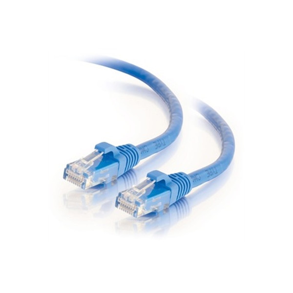 3' CAT6 SNGLS Patch Blue