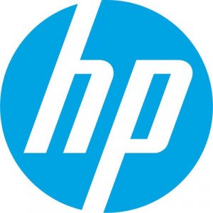 HP Inc. HP Docking Station Cable Lock - AU656UT