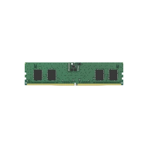 8GB DDR5 4800MTs Module