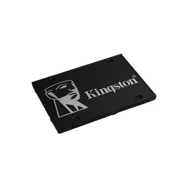 256GB KC600 SSC M.2