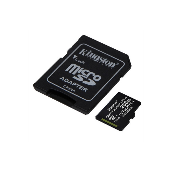 256GB microSDXC Canvas Select