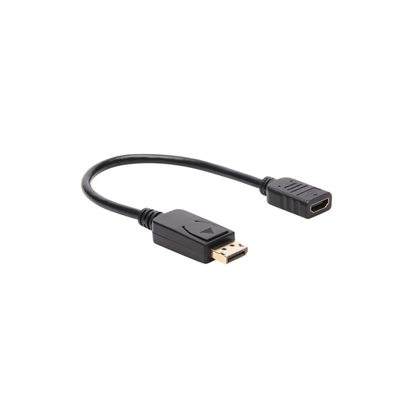 DisplayPort to HDMI VGA Adapte