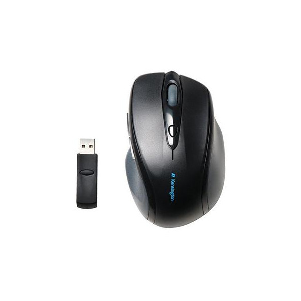 ProFit Usb Wrlss FllSize Mouse