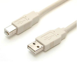 10' USB Cable A-B