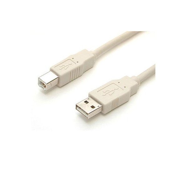 10' USB Cable A-B