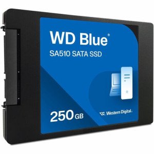 WD Blue SA510 WDS250G3B0A 250 GB Solid State Drive -WDS250G3B0A