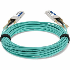 Fiber Optic Network Cable -MFA1A00-E010-AO