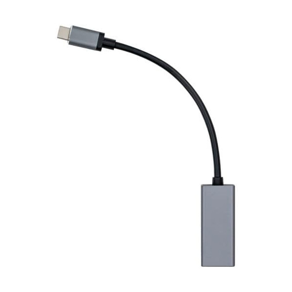 USB-C to Ethernet 1 Gbps Adapter (M/F)