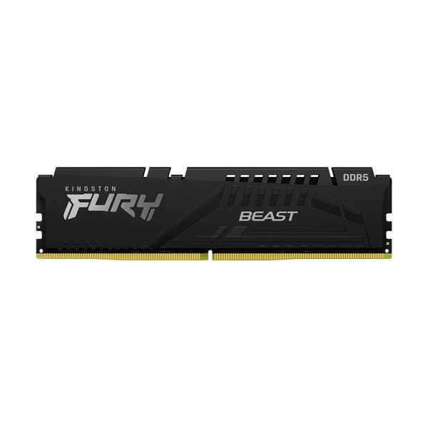 Kingston FURY Beast 8GB DDR5 SDRAM Memory Module