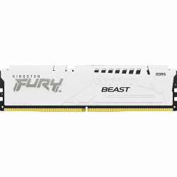 Kingston FURY Beast 16GB DDR5 SDRAM Memory Module -KF560C36BWE-16