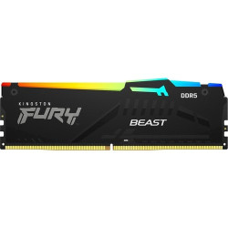 Kingston FURY Beast 16GB DDR5 SDRAM Memory Module - KF548C38BBA-16