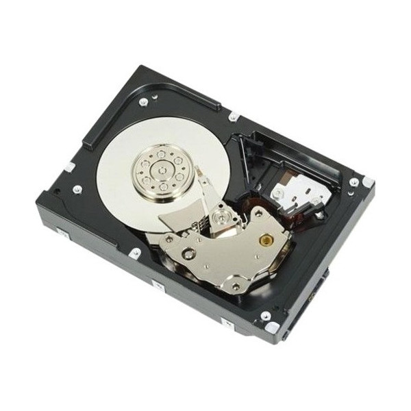 Dell 12 TB Hard Drive