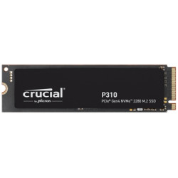 P310 1TB PCIe Gen4 NVMe