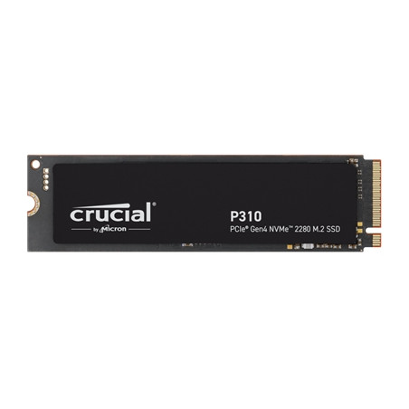 P310 1TB PCIe Gen4 NVMe