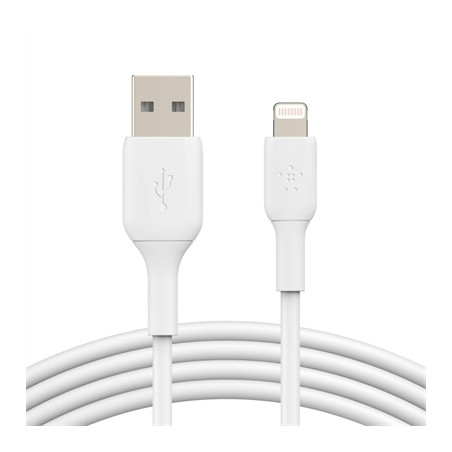 BST CHGR LGTING to USB-A Cable