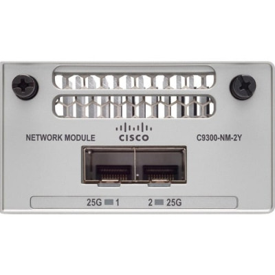 CATALYST 9300 2X 25GE NETWORK