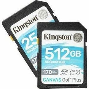 MOQ 25 512GB SDXC CANVAS GO