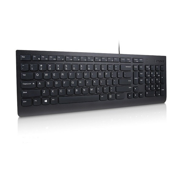 Lenovo Essential Wired Keyboard (Black) - French Canadian 058 - Cable Connectivity