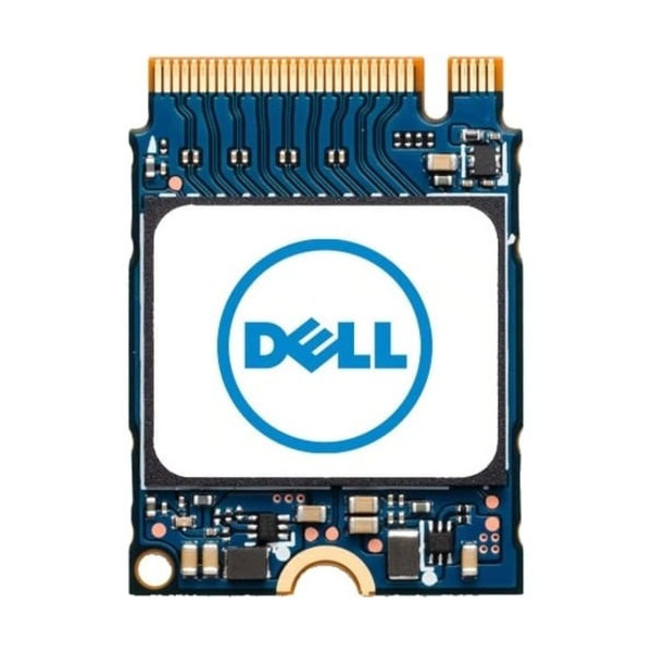 Dell 512 GB Rugged Solid State Drive