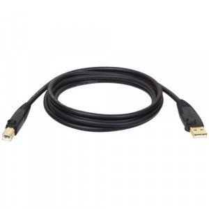 Tripp Lite by Eaton USB 2.0 Cable - 10 ft USB Data Transfer Cable - First End: 1 x 4-pin USB Type A - Male