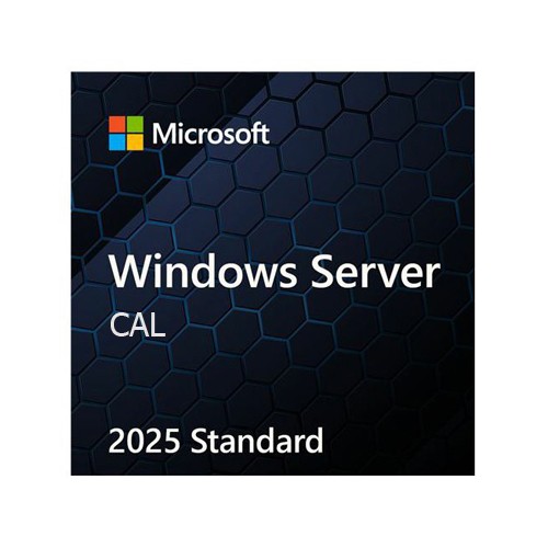 WINDOWS SERVER CAL 2025 ENGLISH 1PK DSP OEI 5 CLT USER CAL